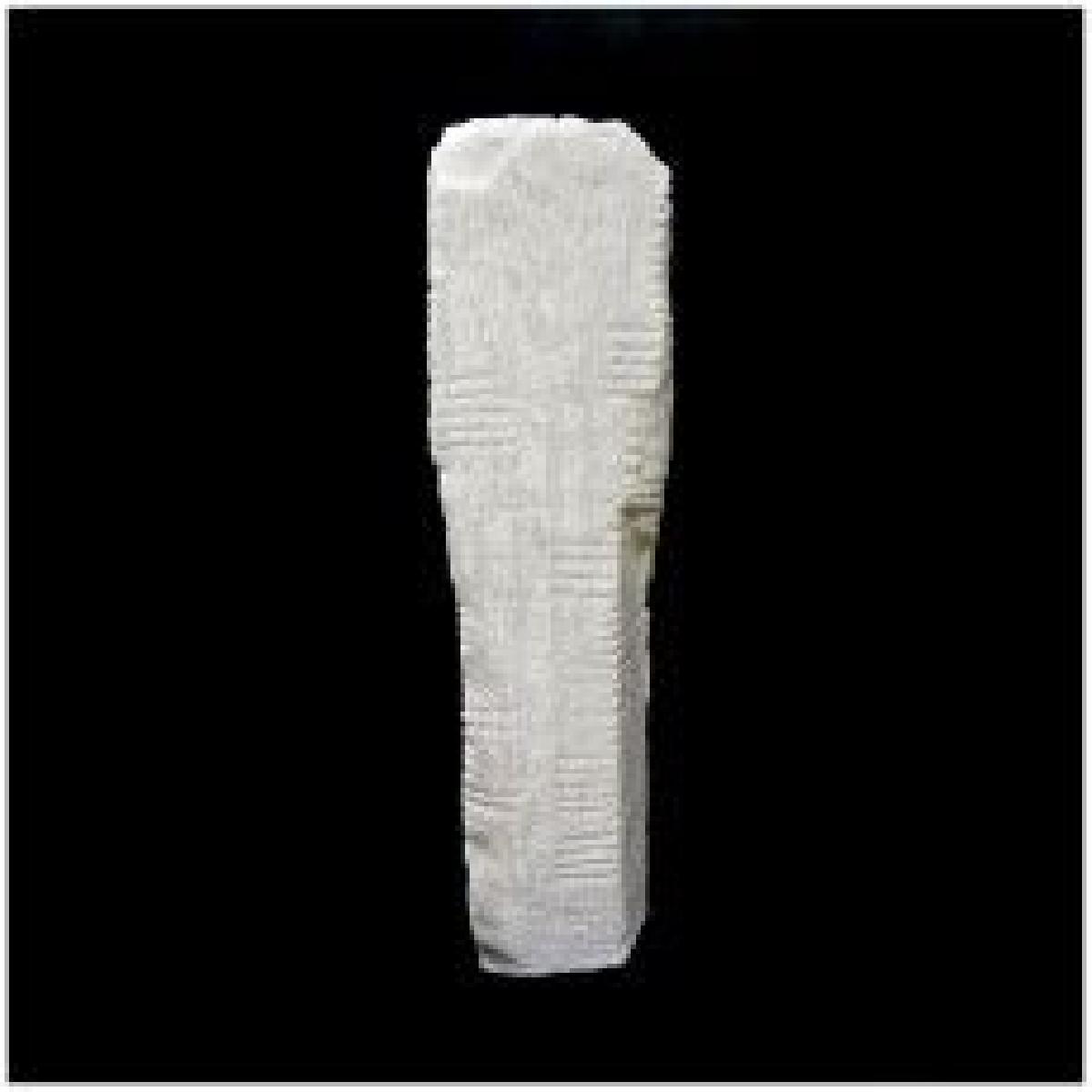 Ogham 3D   CIIC 263. Ardmore I, Co. Waterford