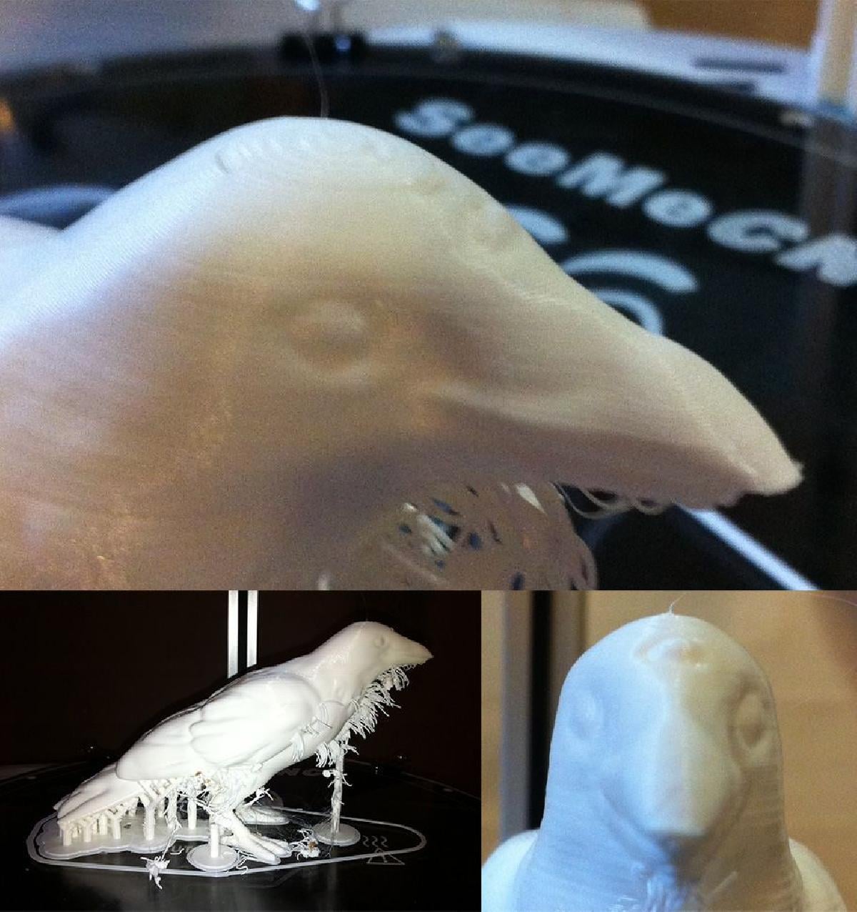 Corvo de Tres Olhos