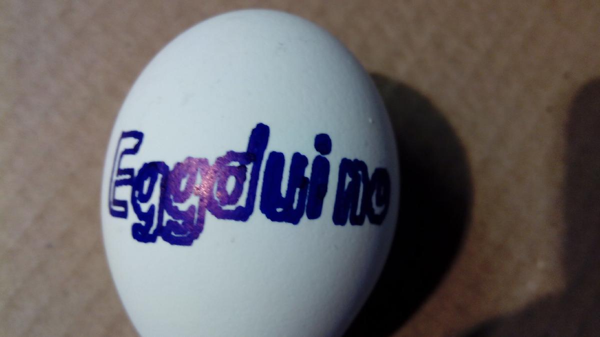 EGGDUINO