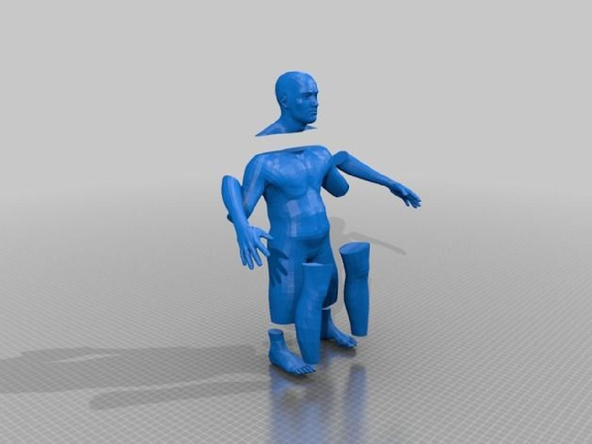 Malebot RCS