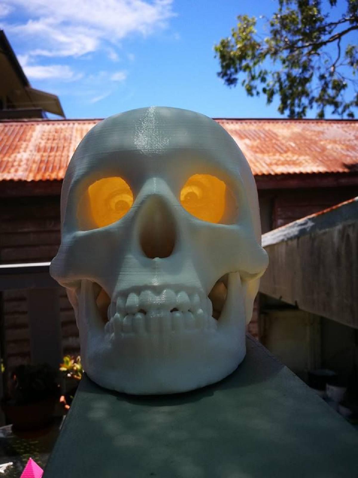 skullophane louco dave.