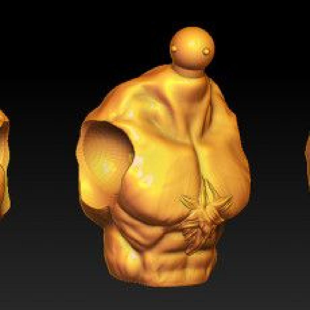 Corpo musculoso peludo