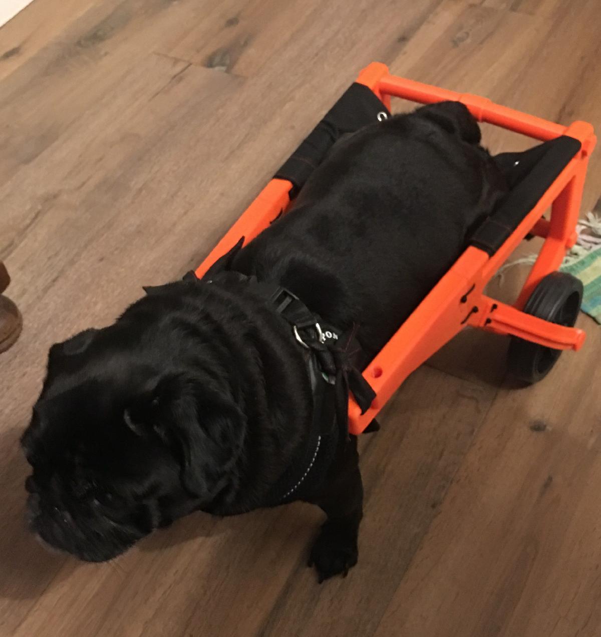 Rodas para Pug (Cadeiras de Rodas para Caes) Versao 2