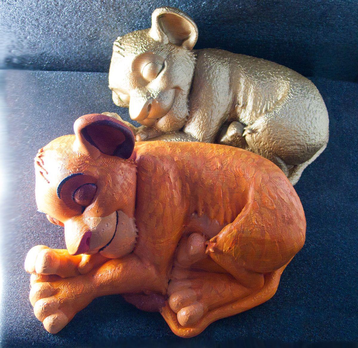 Simba Adormecido