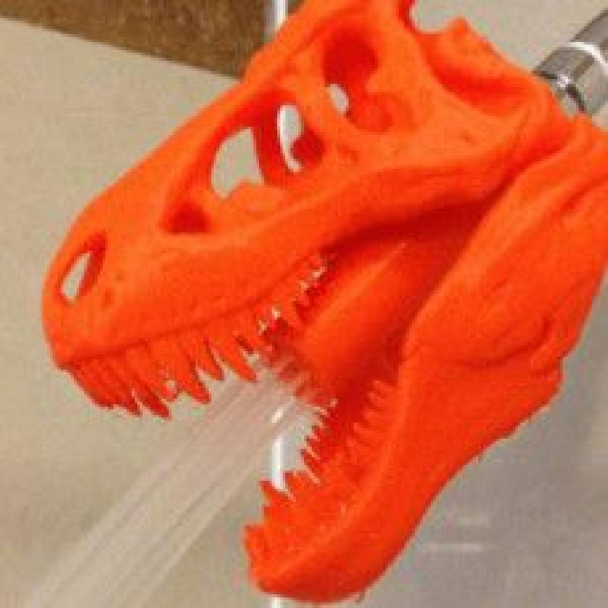 cabeca de dinossauro