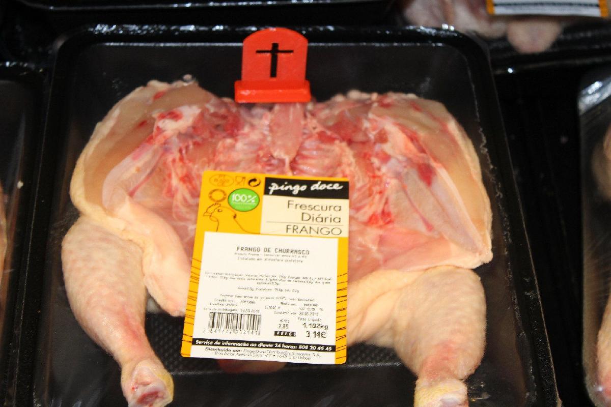 Ativismo pelos Direitos dos Animais