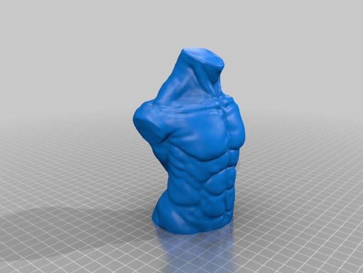 Torso masculino (com nadegas)