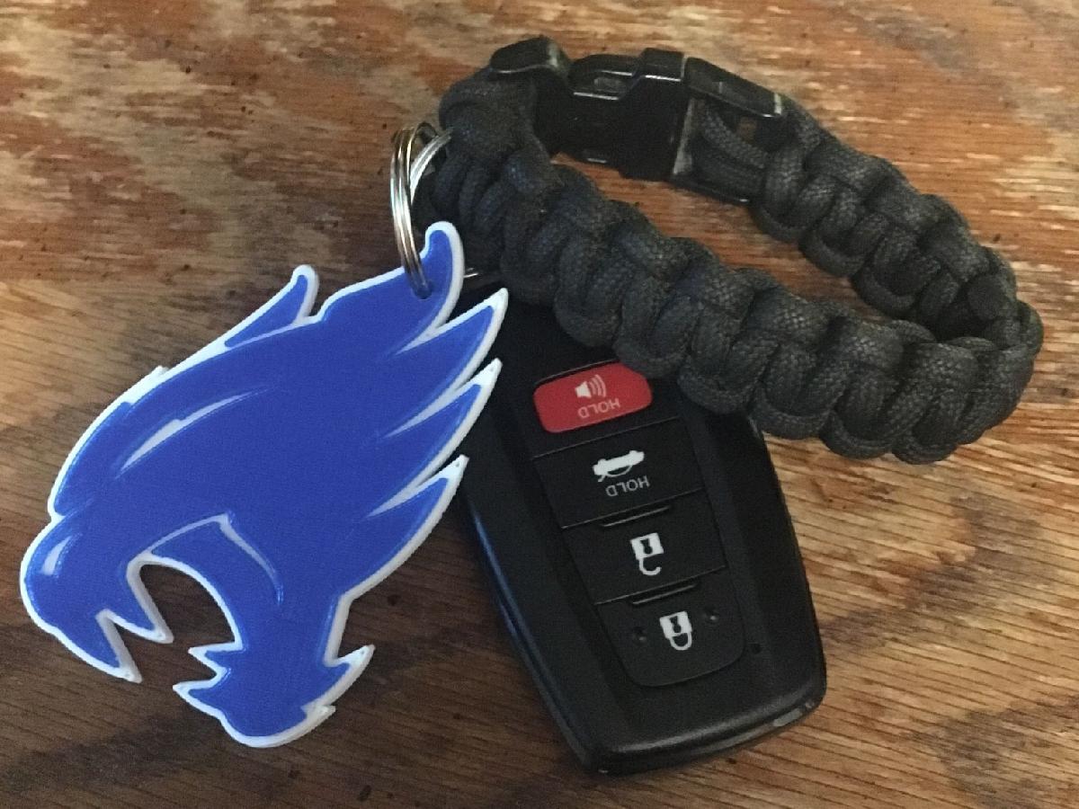 Chaveiro Kentucky Wildcats (ATUALIZACAO)