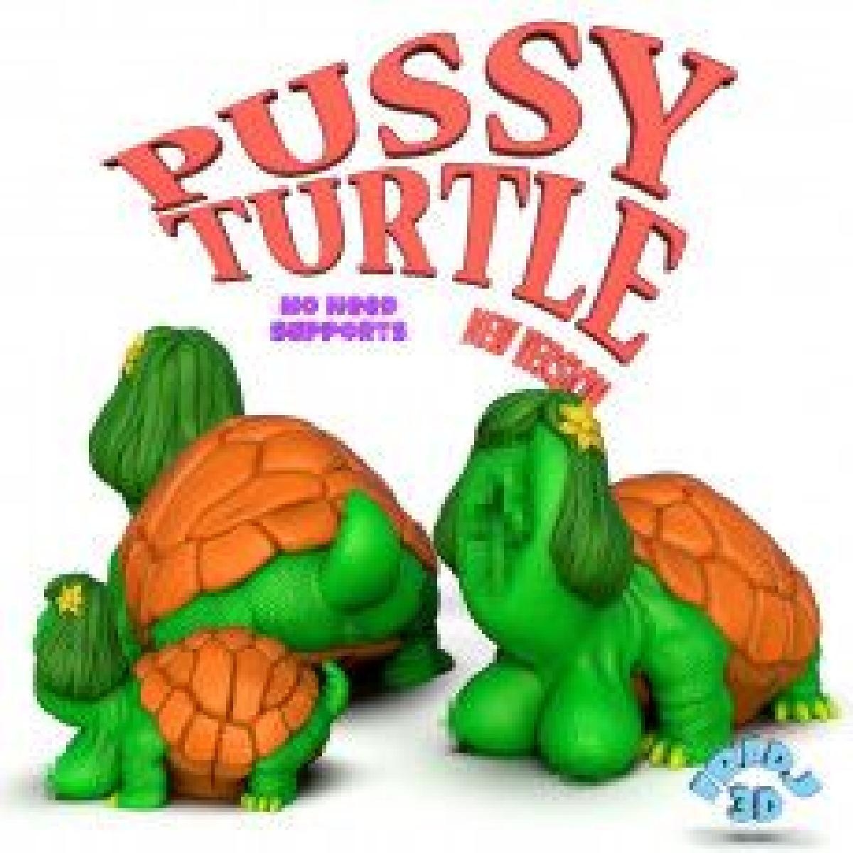 Tartaruga Pussy