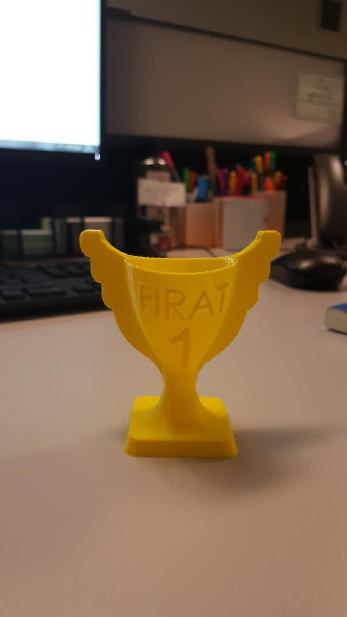 Copa, Trofeu