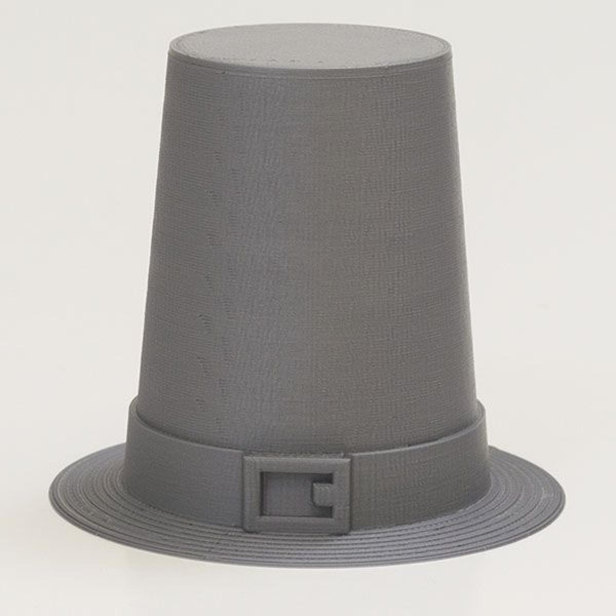 Chapeu de Peregrino