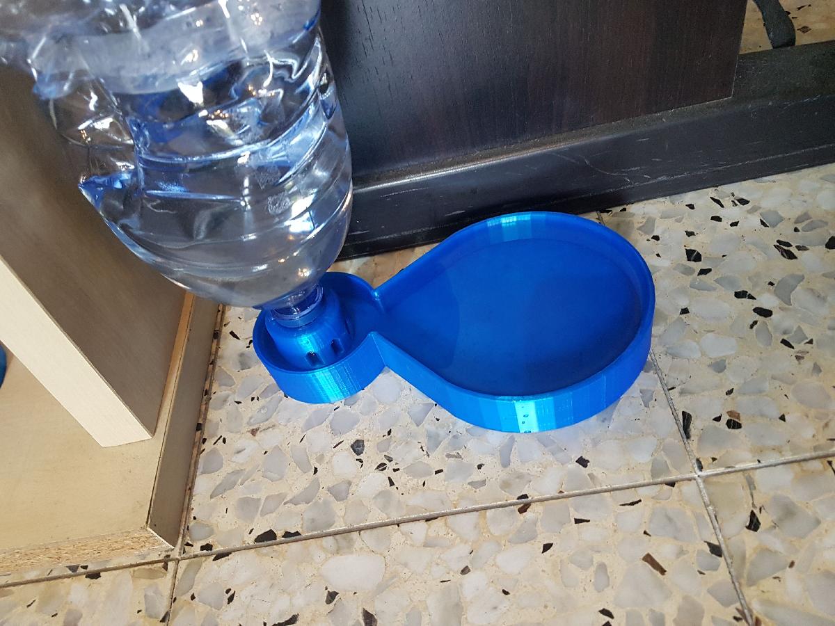 mais uma tigela de agua para gato