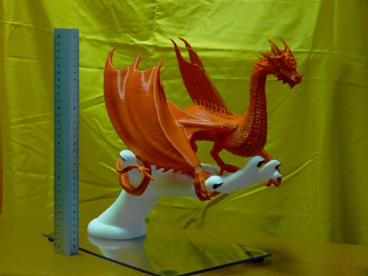 Dragonologia   XL