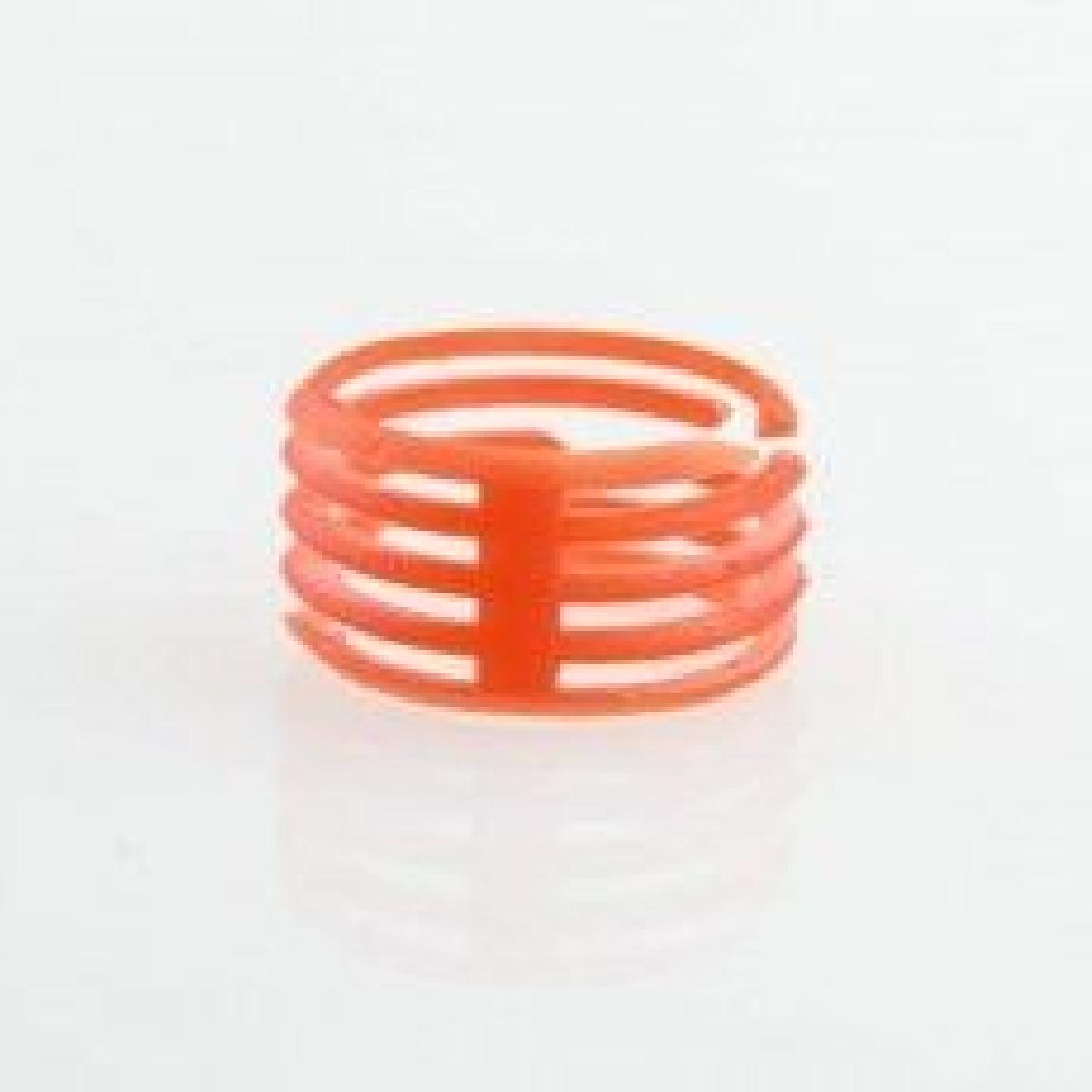 Ponte Flutuante RING