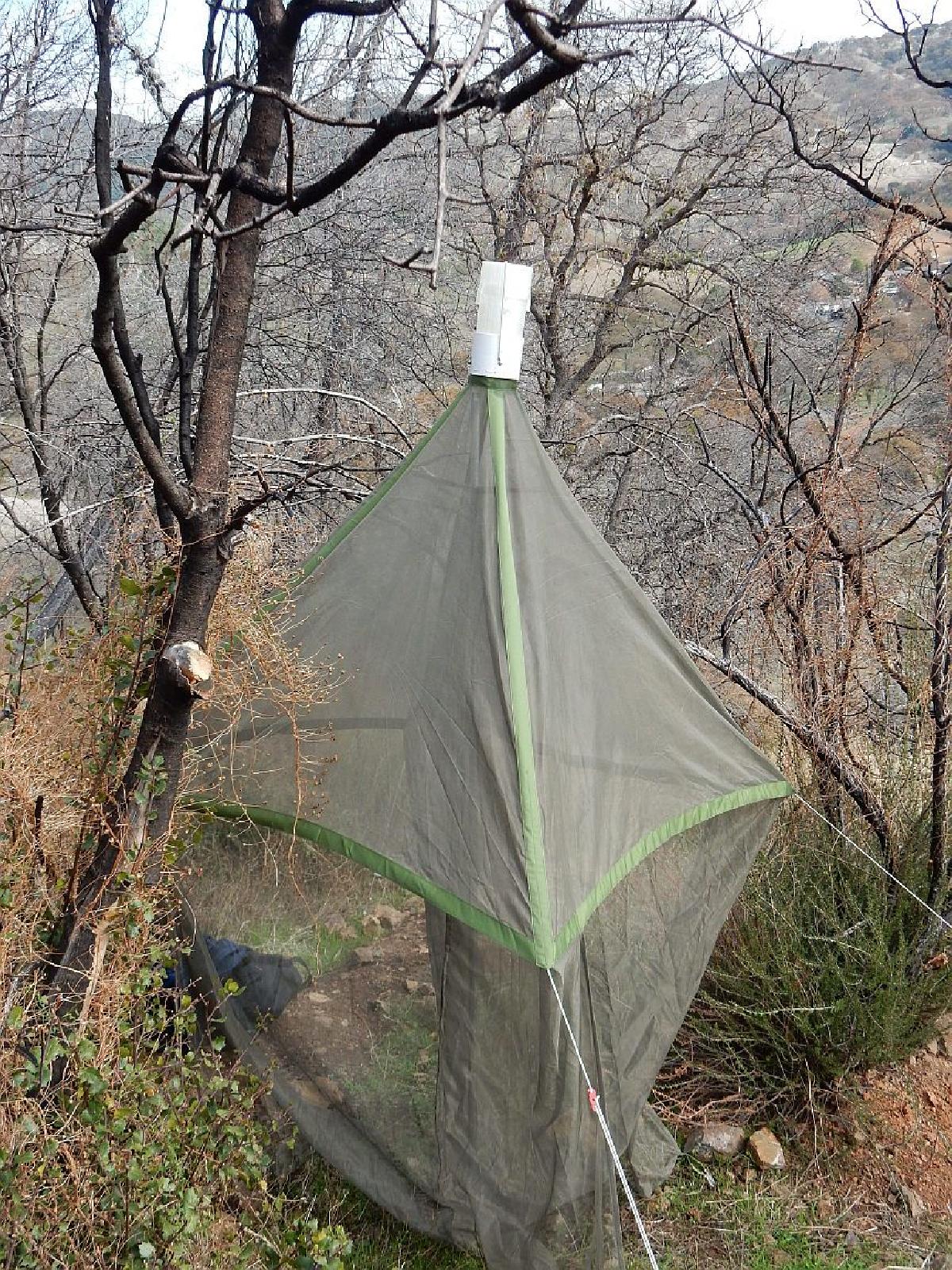 Cabeca da Armadilha do Mal estar (UC Berkeley)