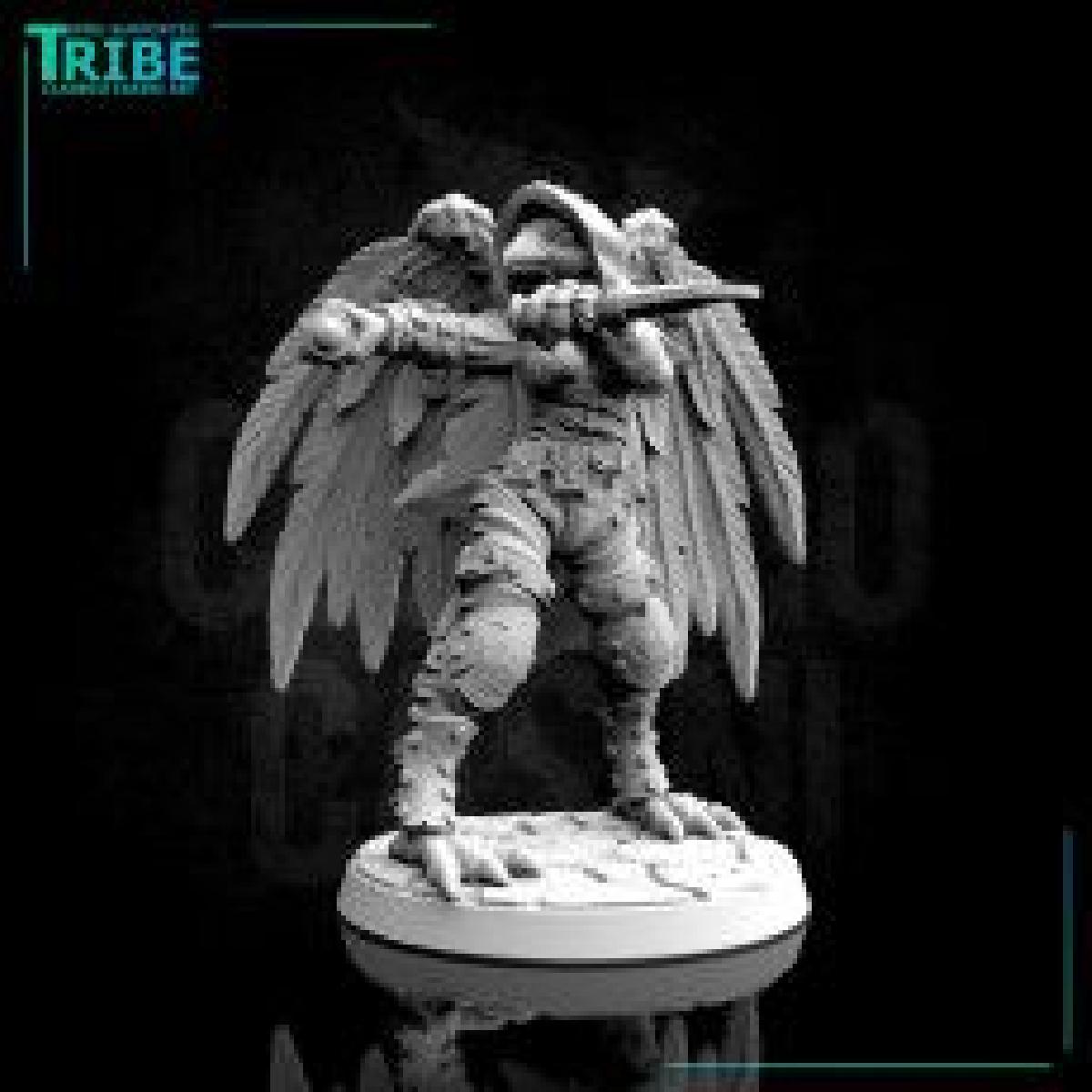 Ladrao homem passaro de penas masculinas com facas