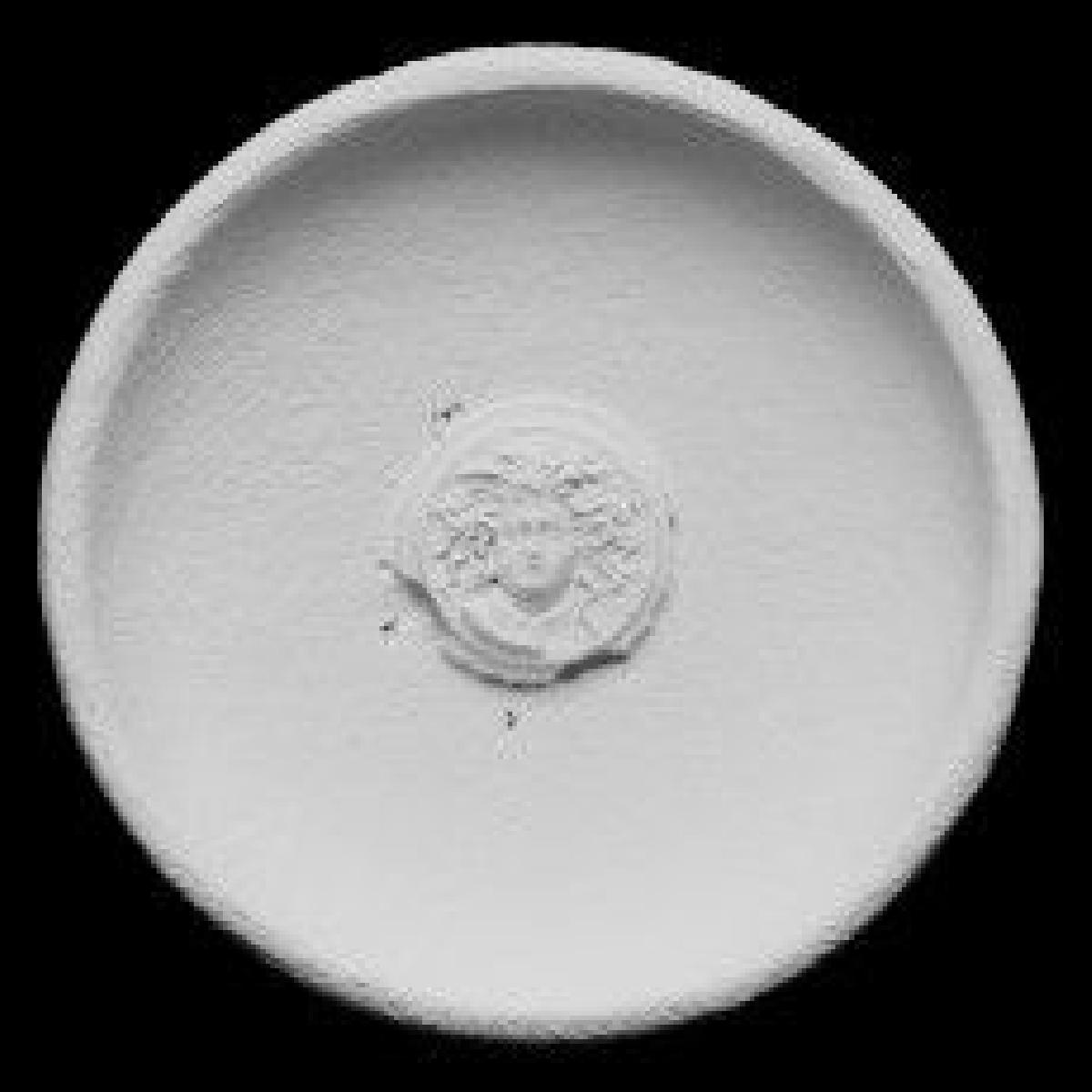 Bacia com decoração Medusa