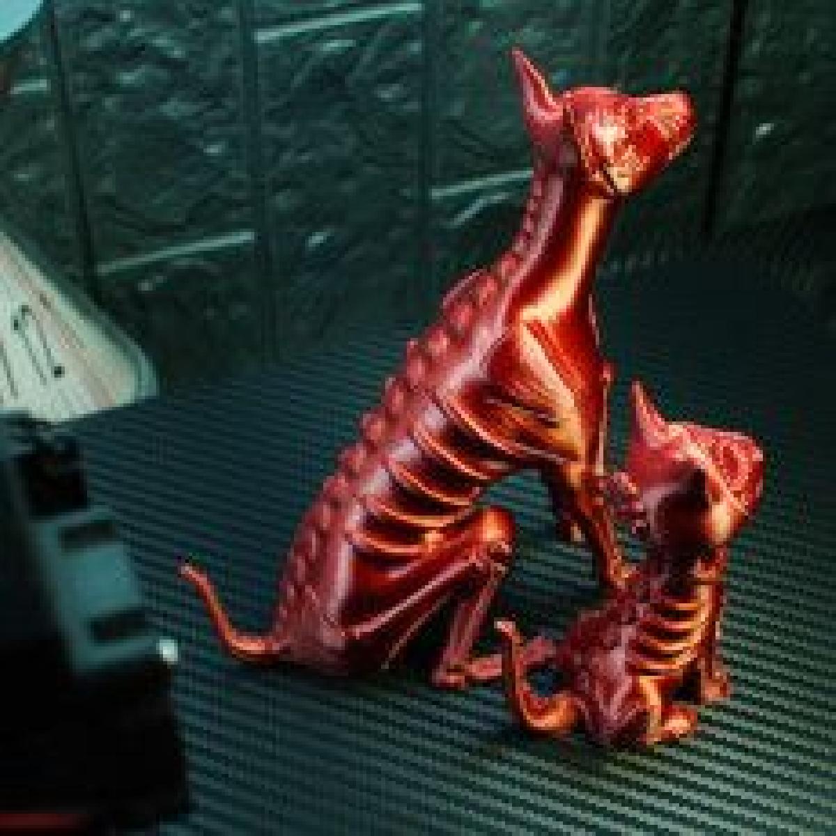 Remix do Cao de Acucar