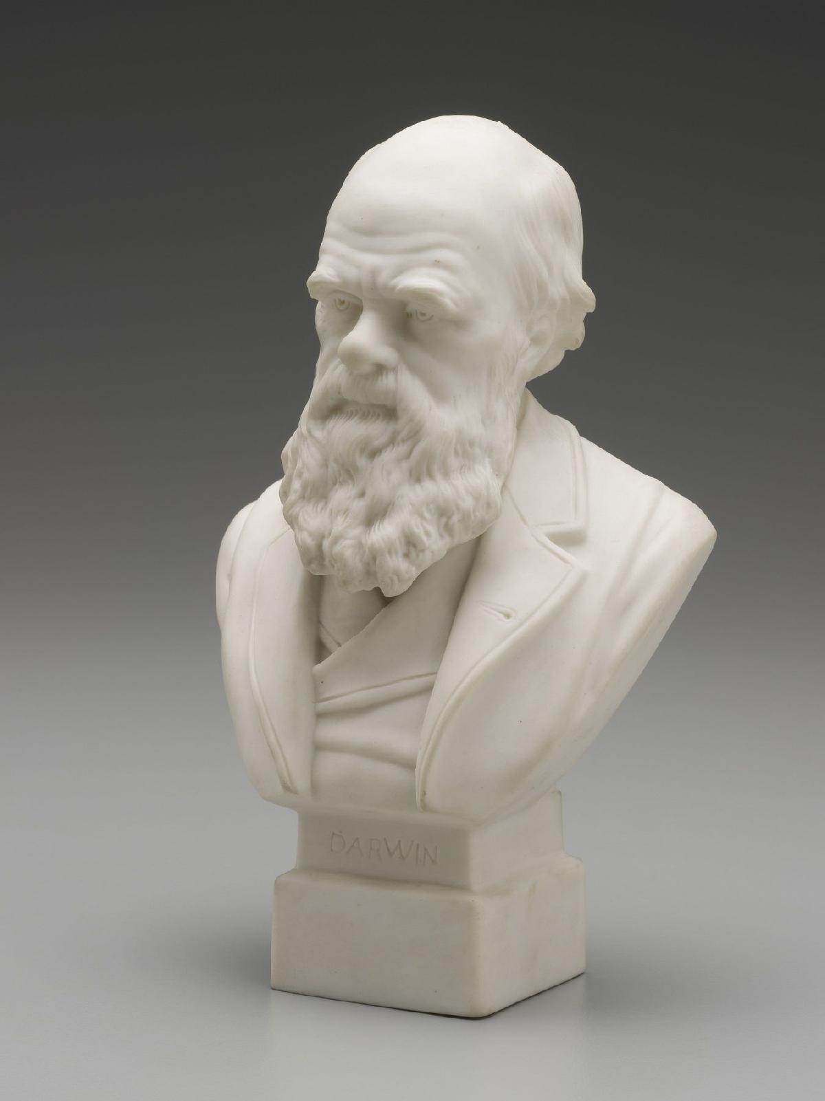 Dia de Darwin