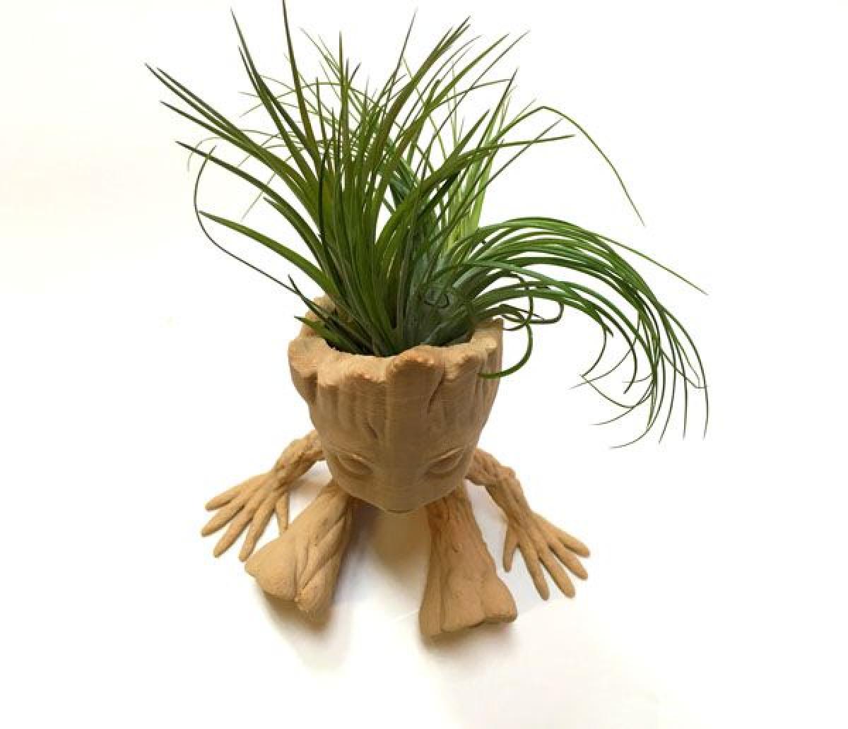 Planter de Plantas Aéreas Baby Groot