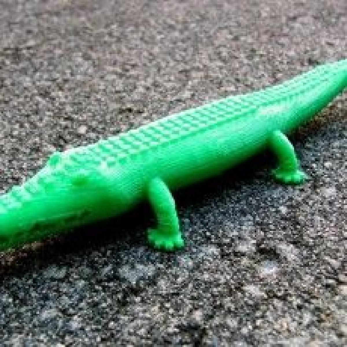 Crocodilo