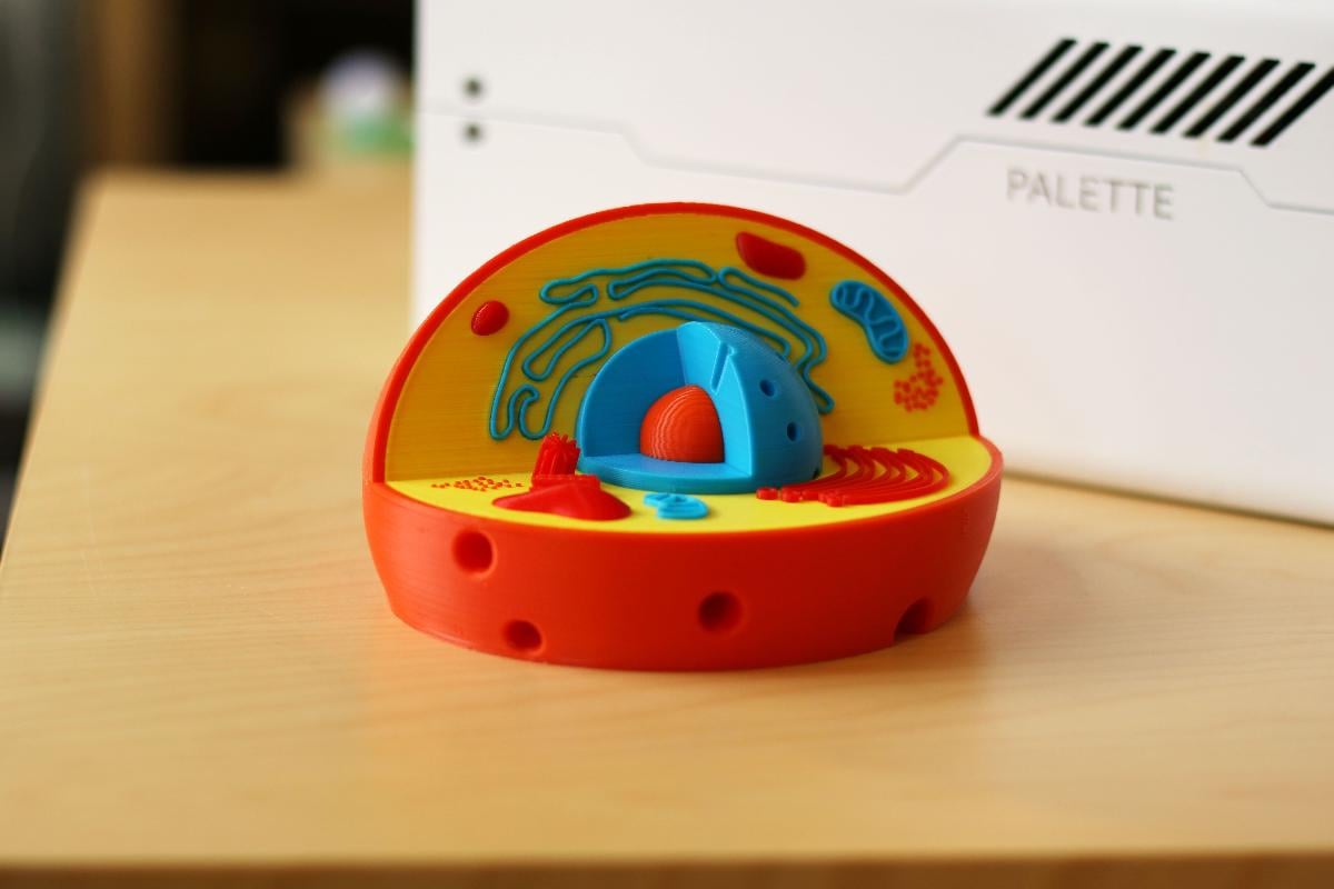 Modelo de célula multicolorida