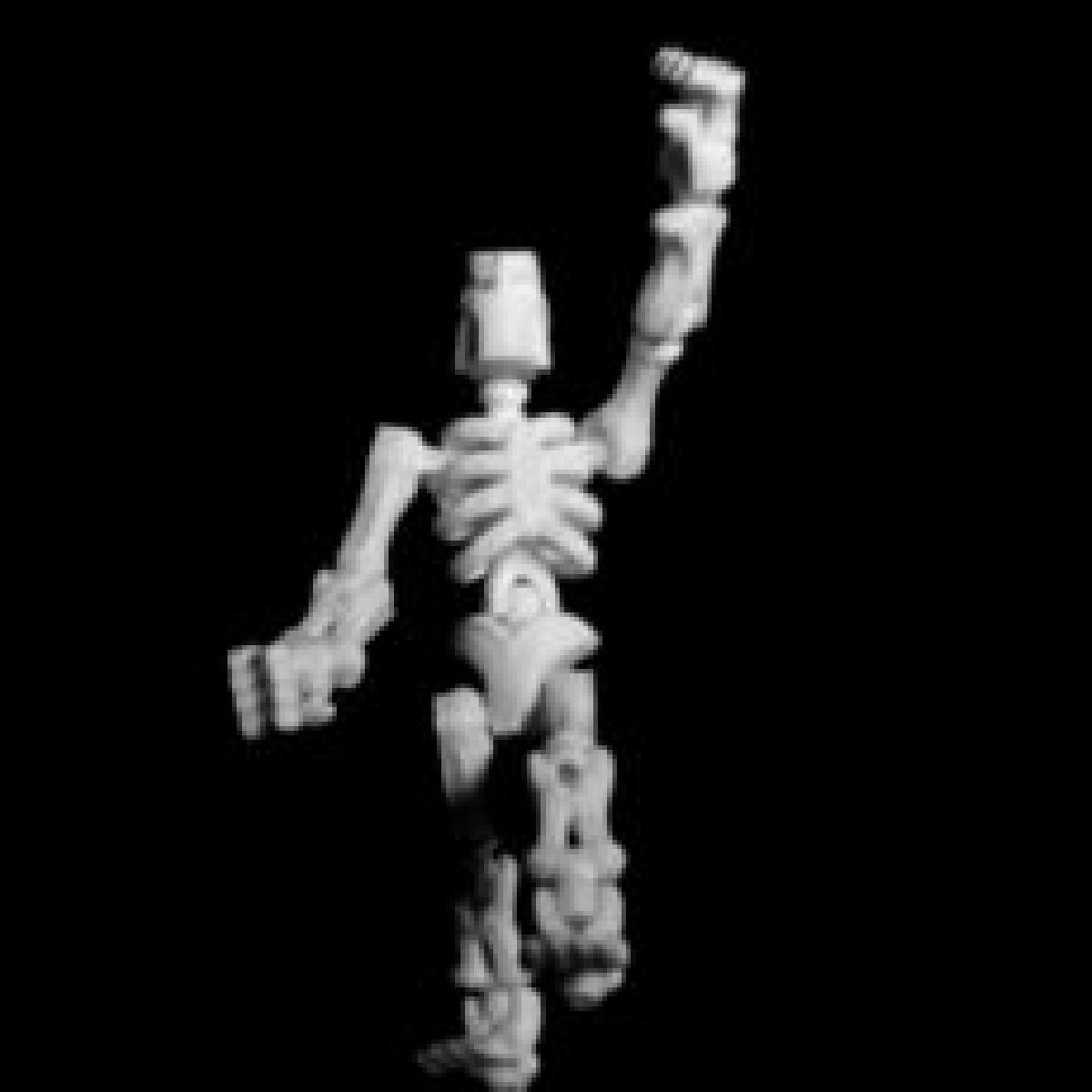 Robô Articulado