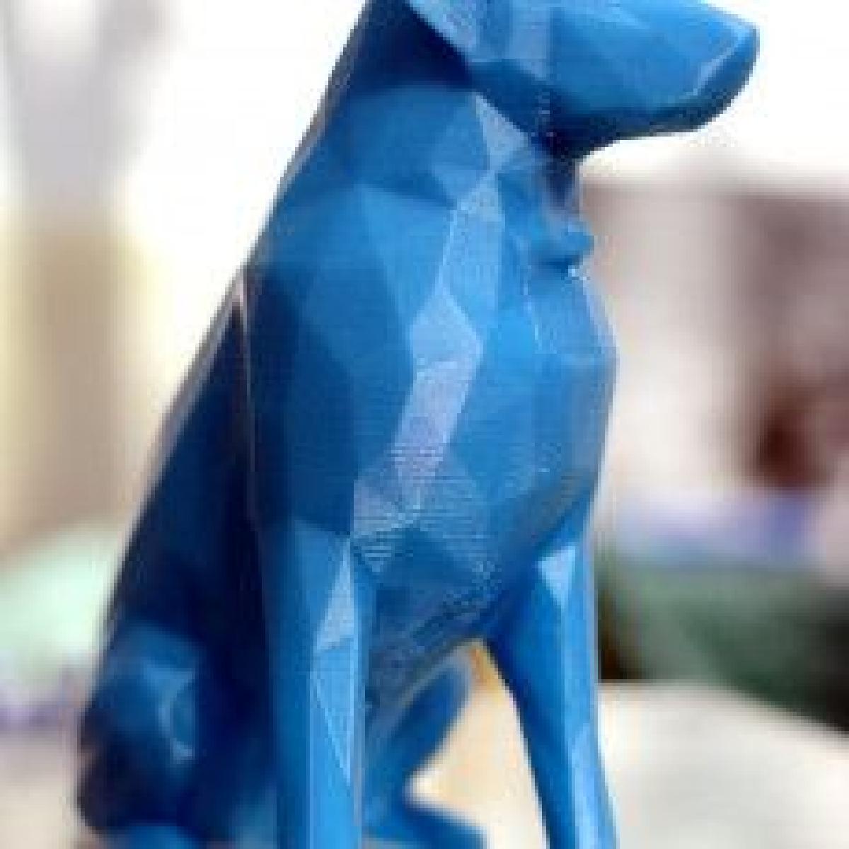 Cão 3D