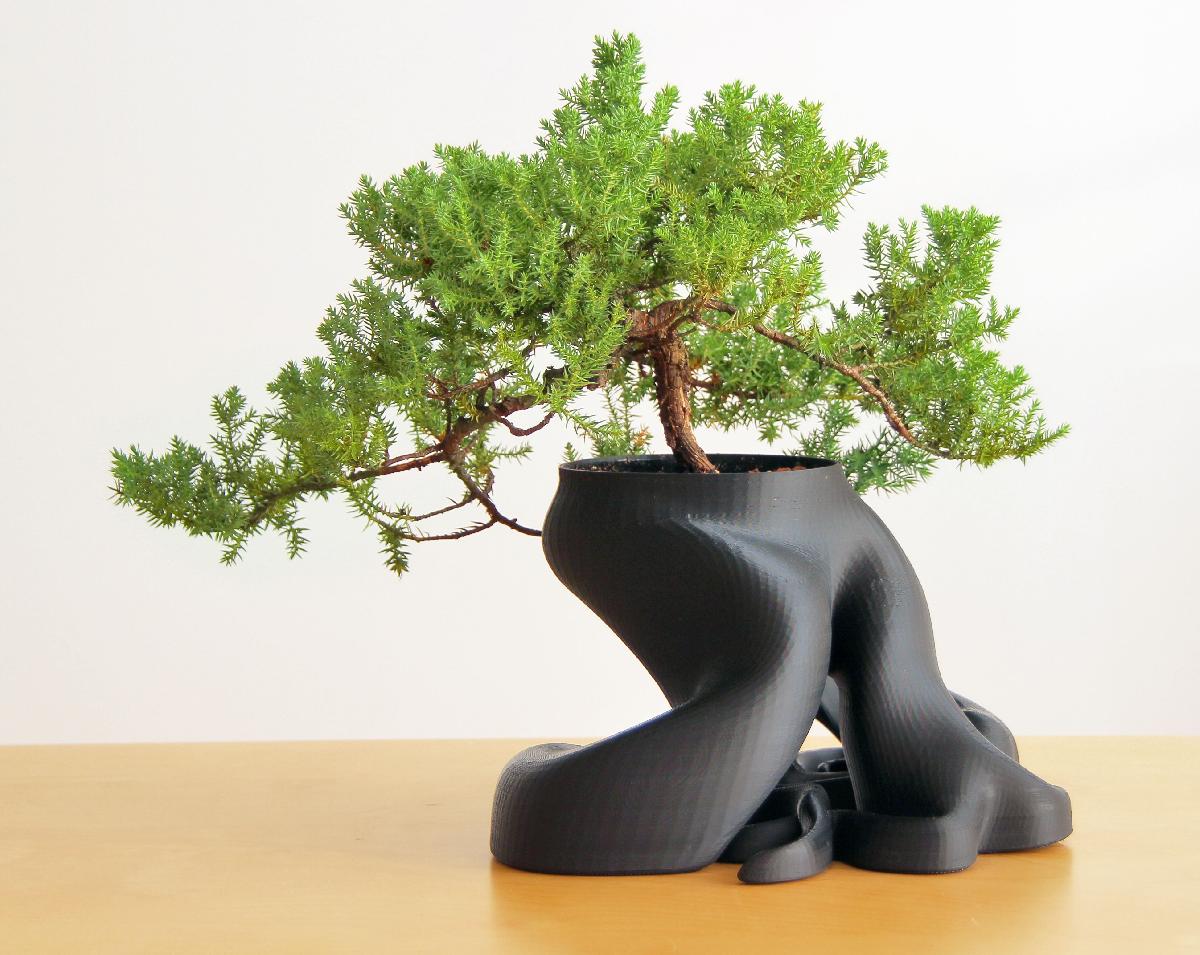 Plantador de Bonsai (Novo Modelo HD com mais de 1.100.000 Triângulos)
