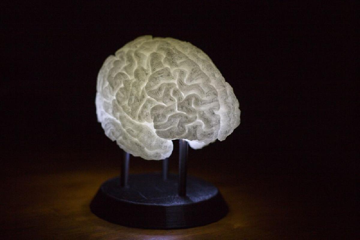 Cérebro iluminado por LED