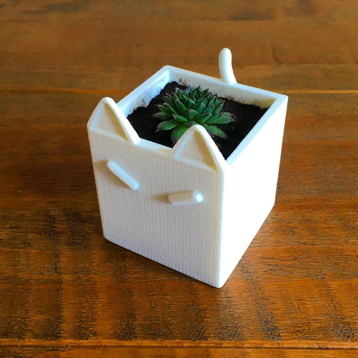 Vaso de Plantas de Gato