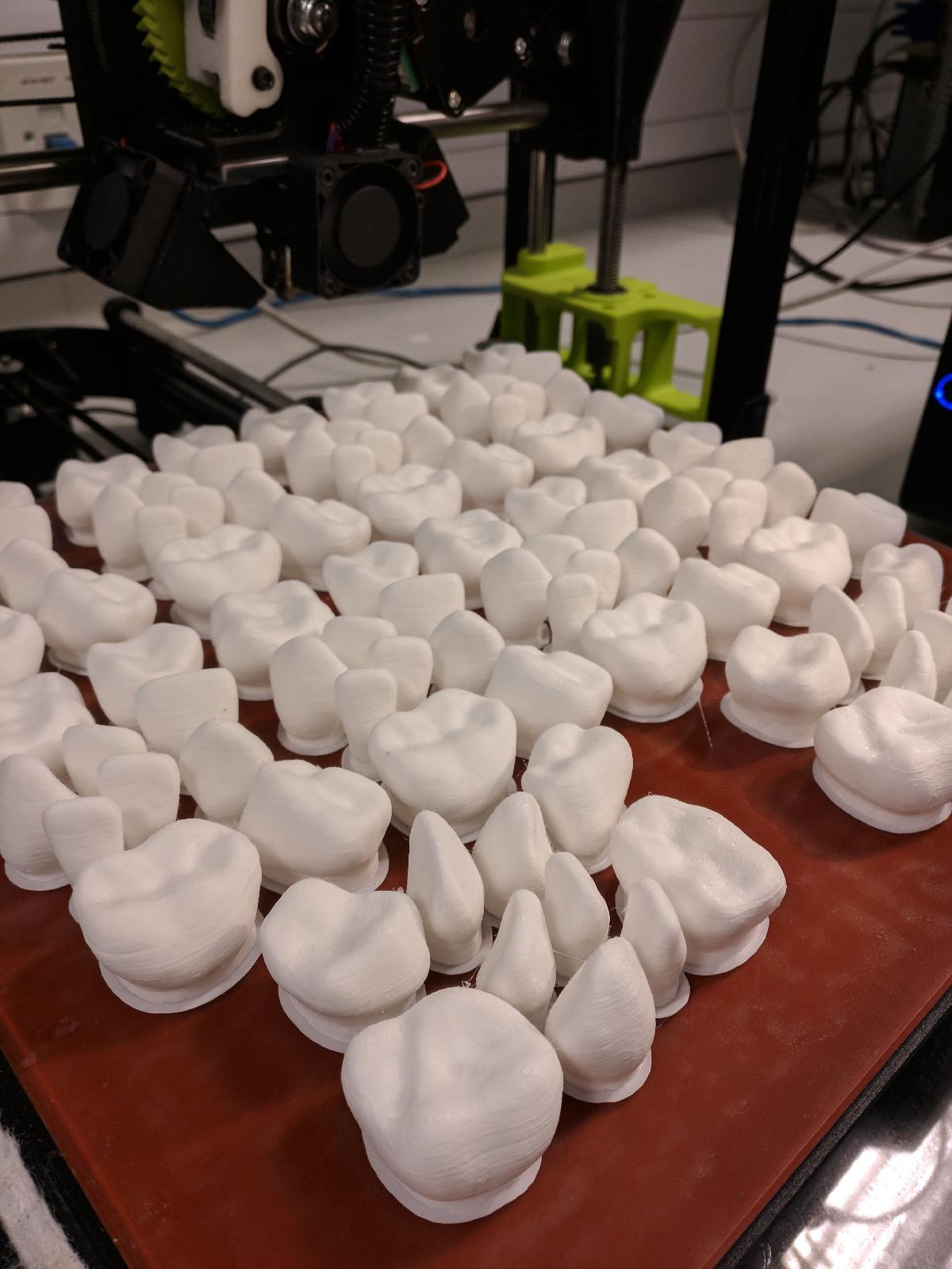 Modelos de dentes pediátricos