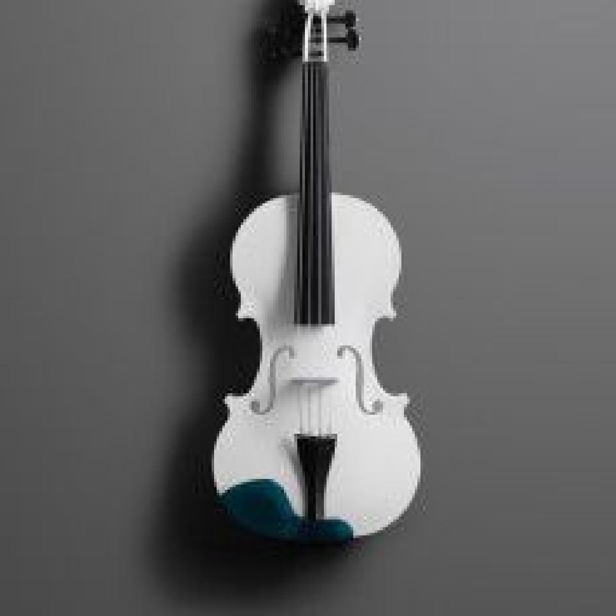 Violino