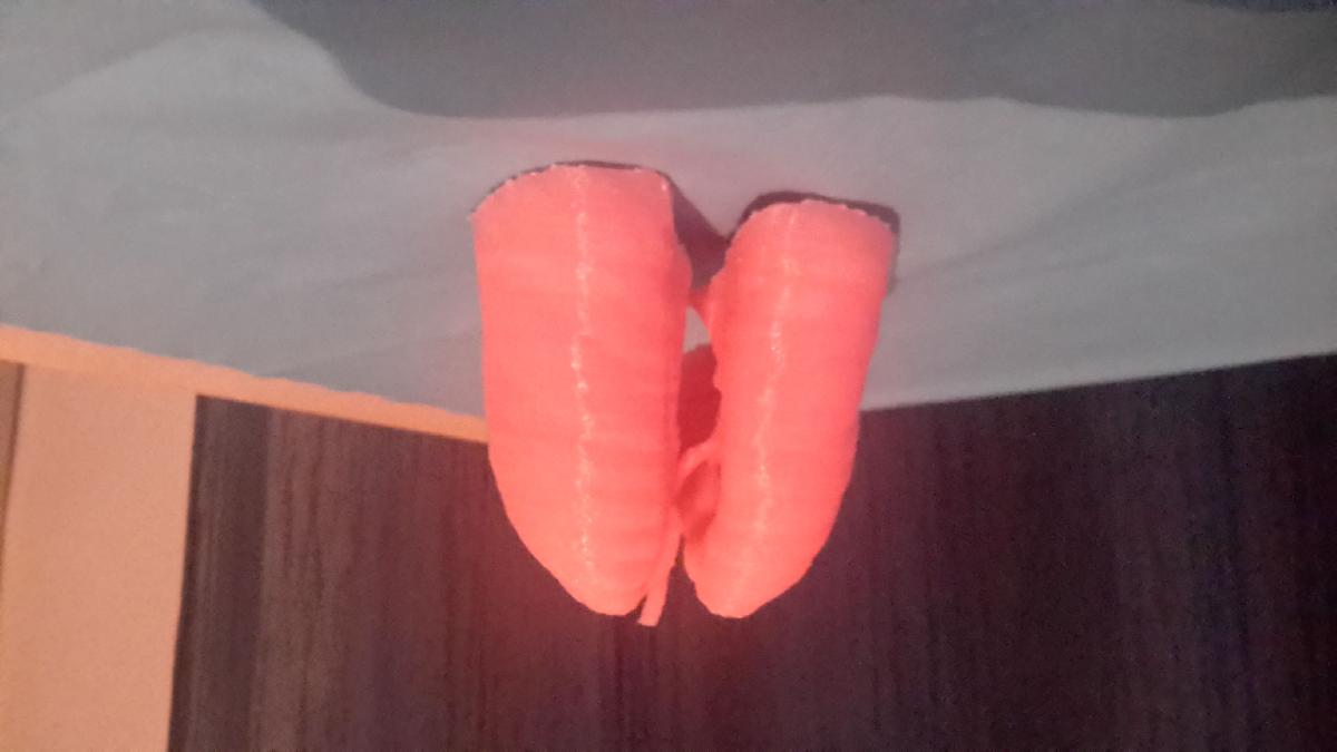 Pulmões Modelo 3D