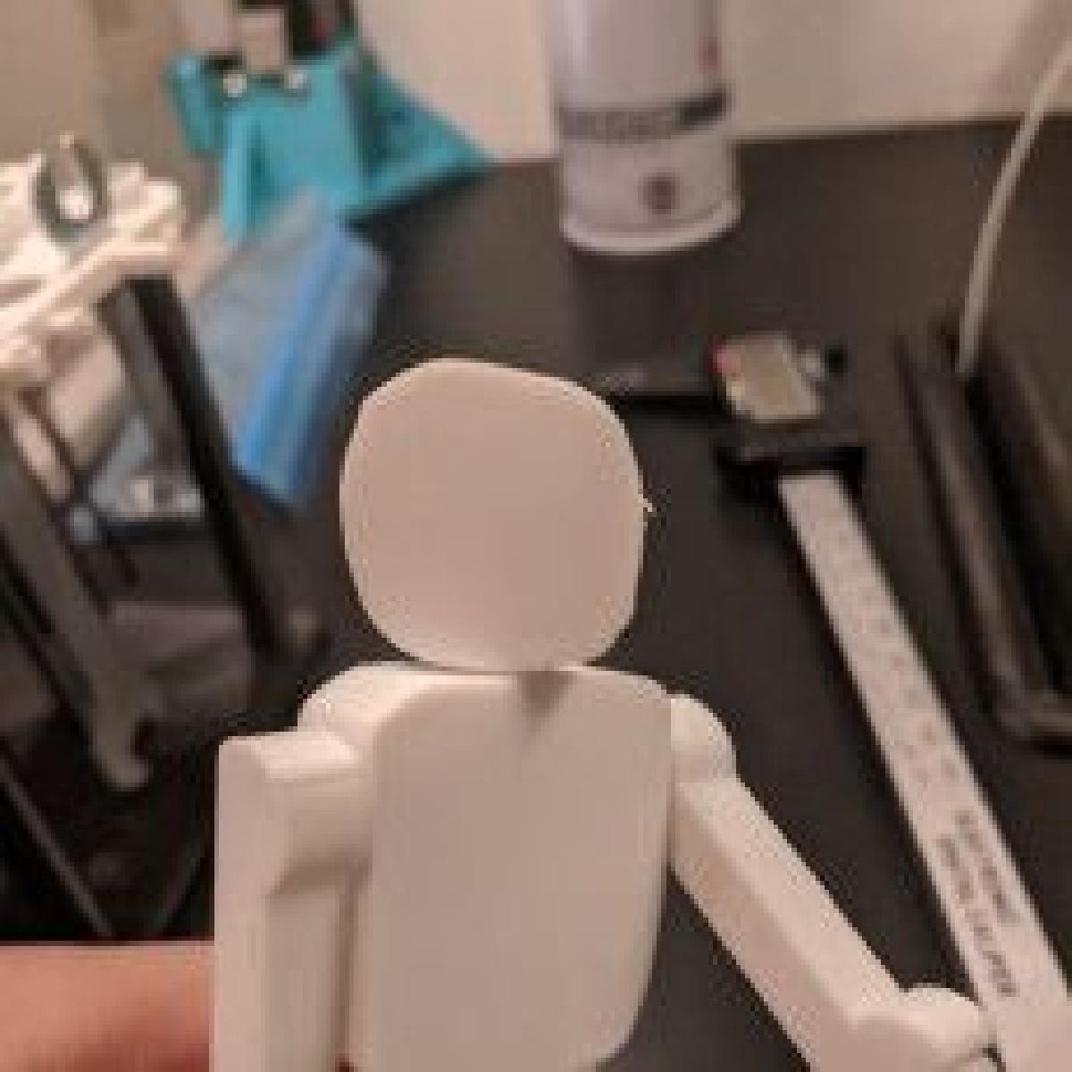 Action figure