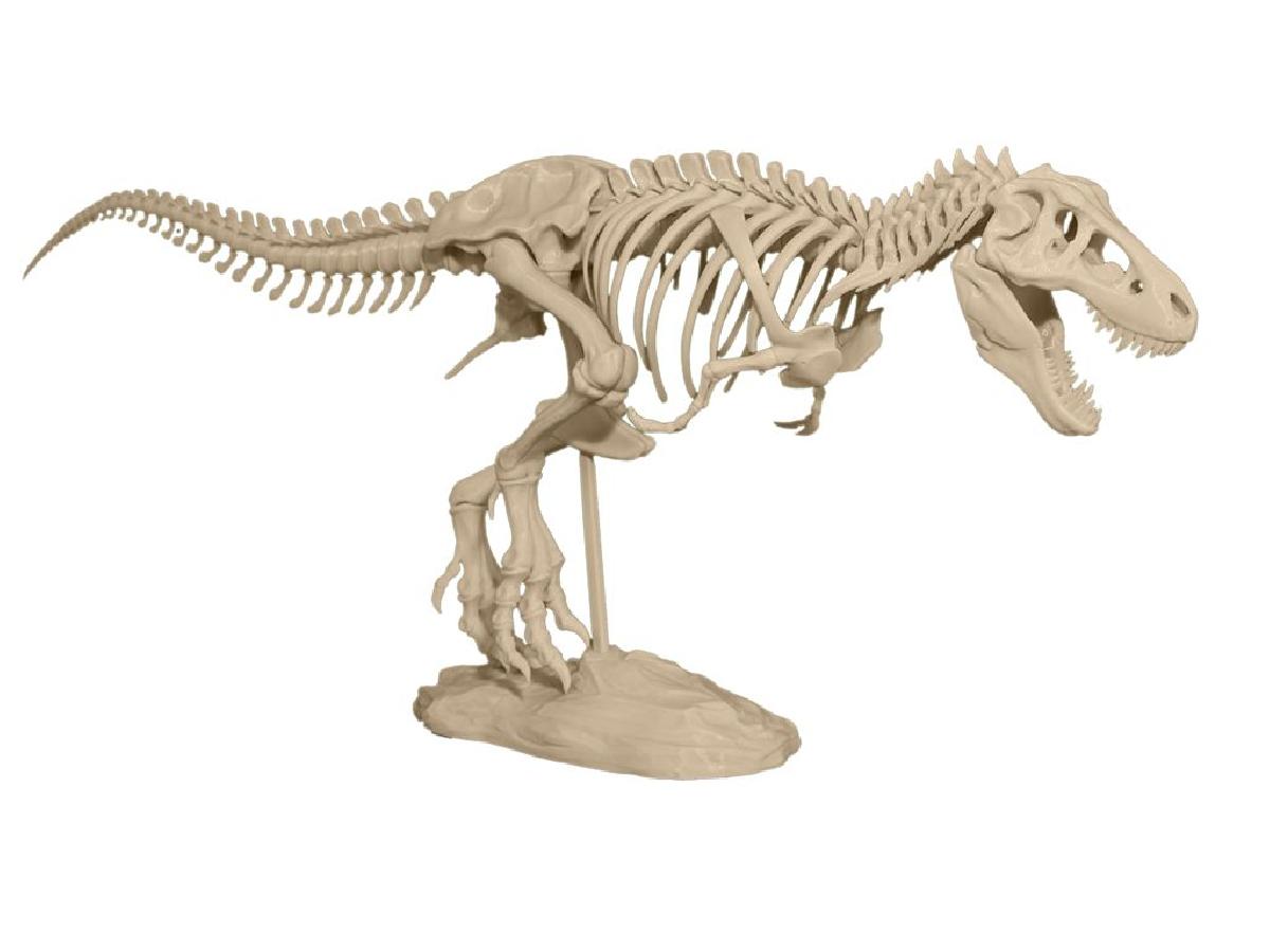 Modelo de dinossauro para imprimir