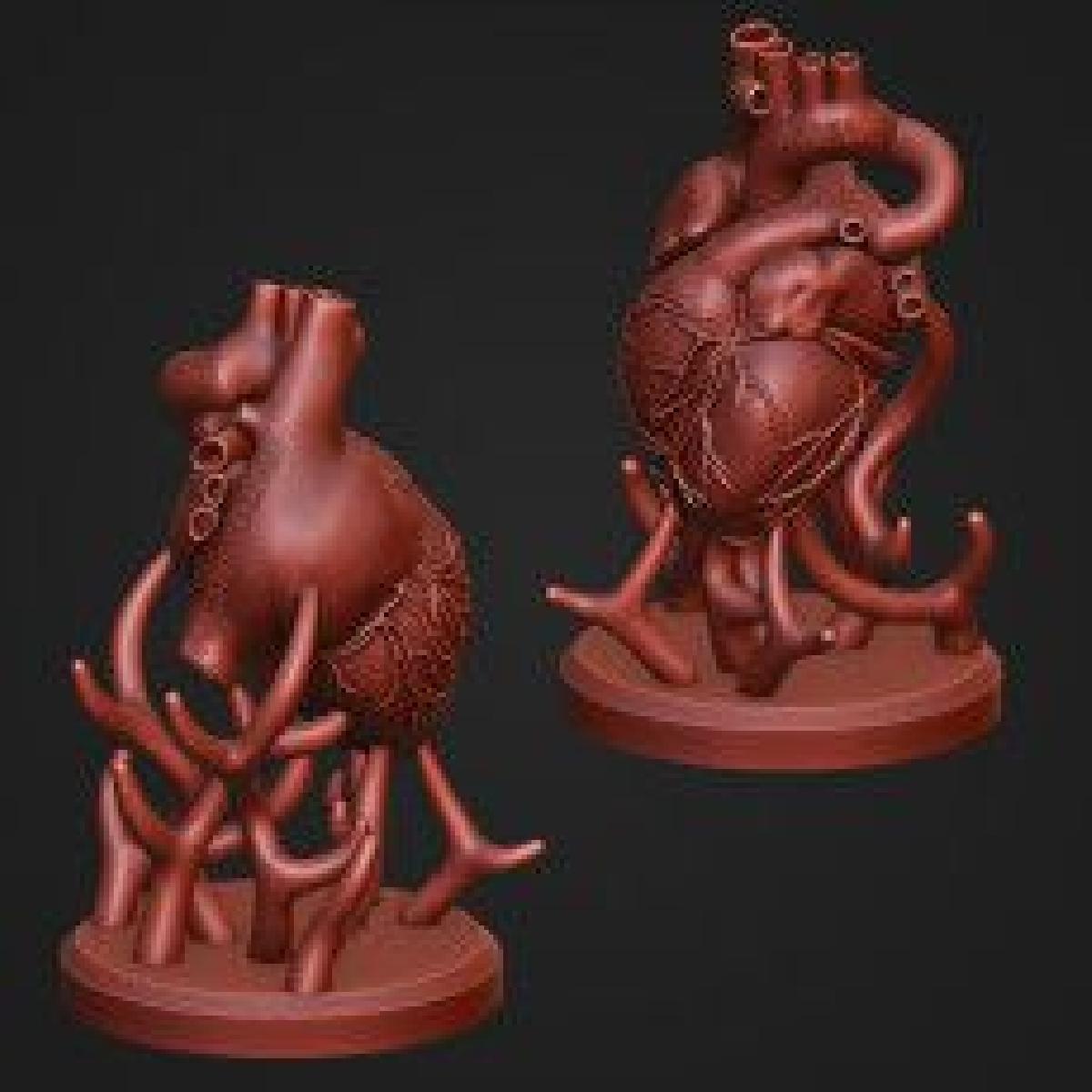 Anatomia do Coração Humano Escultura Arte da Estátua