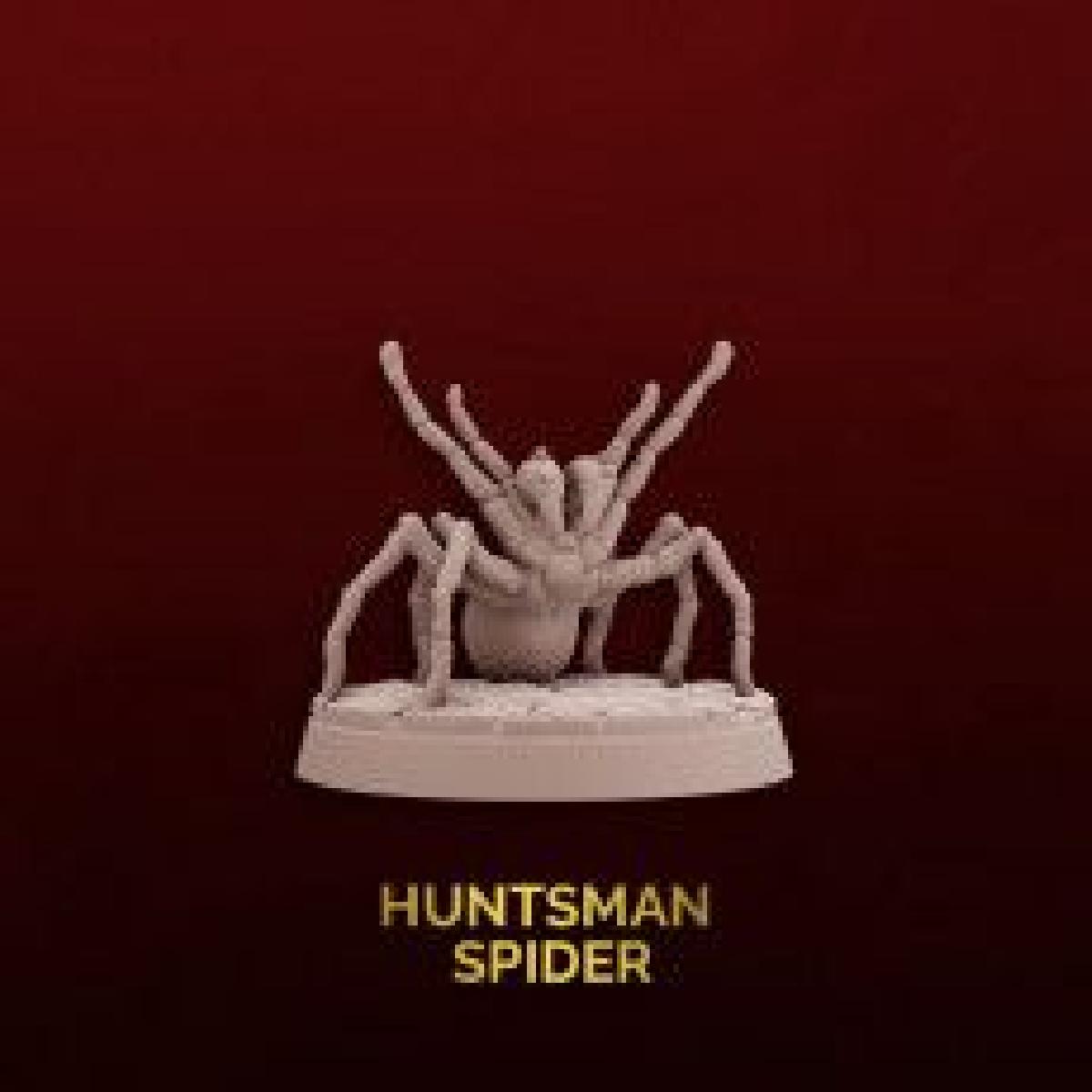 Aranha Caçadora