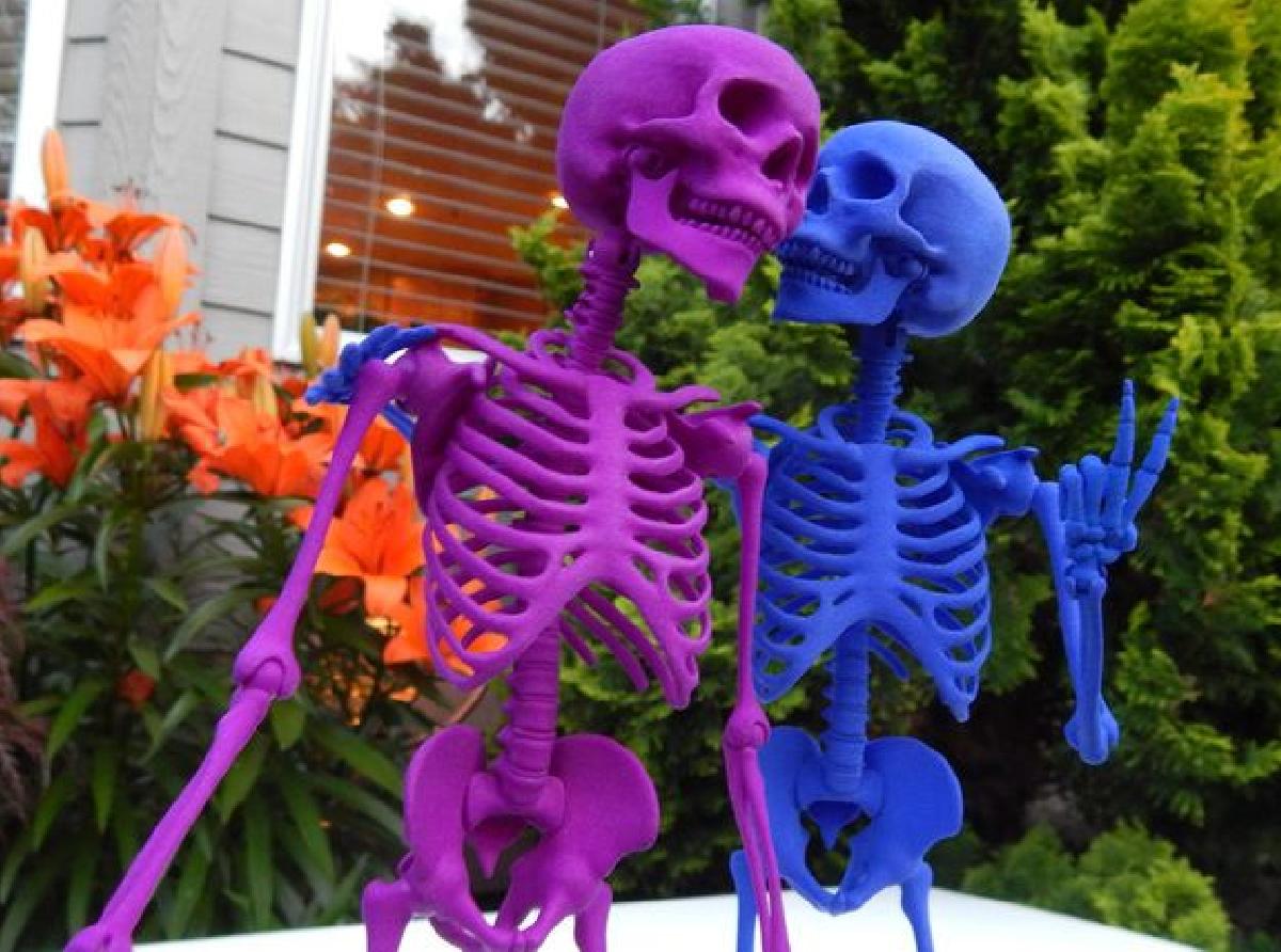  Mr Bones    Esqueleto articulado