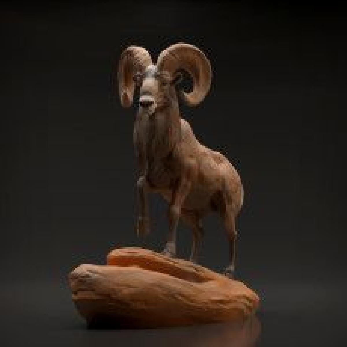 Carneiro Bighorn