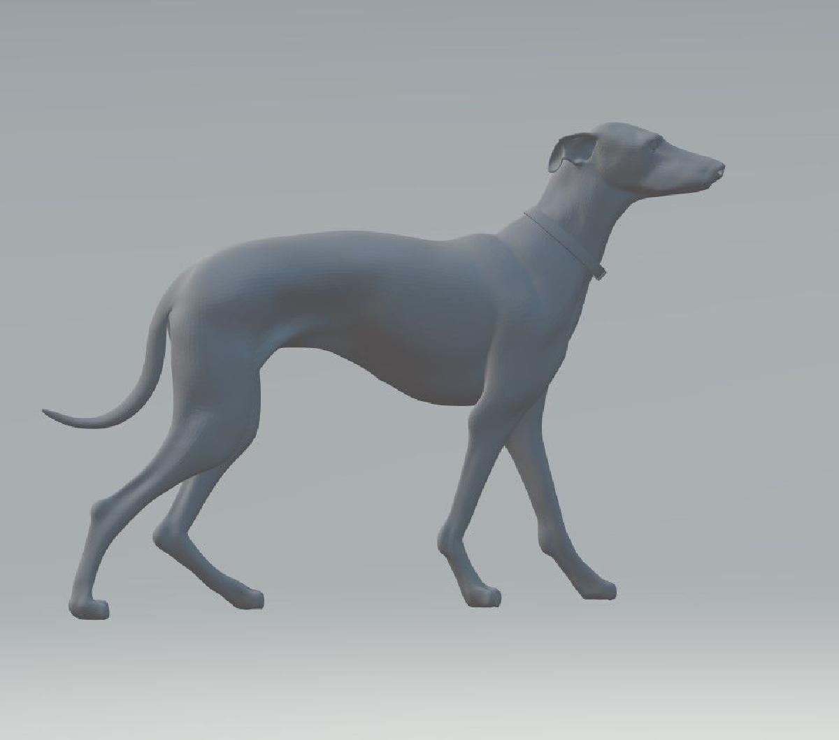 Cachorro magro em pe   so base