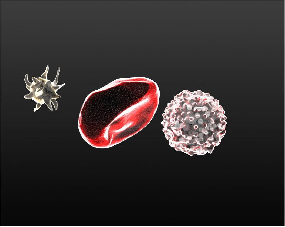 Células Sanguíneas: um Kit Visual Engraçado para Biologia