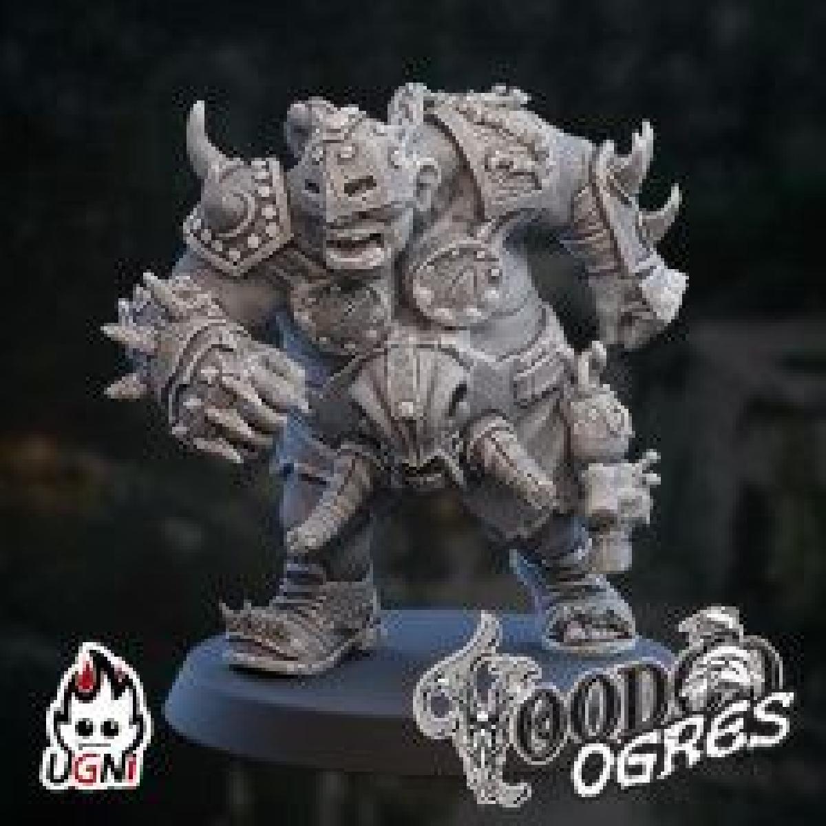 Ogre #6   Equipe Ogres