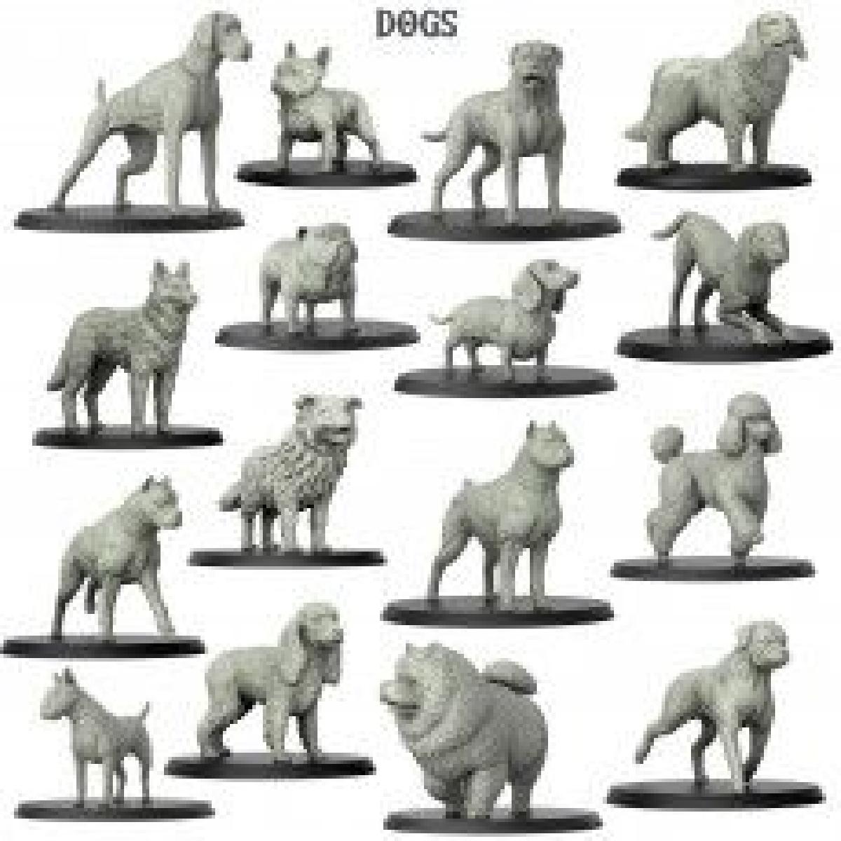 Cães