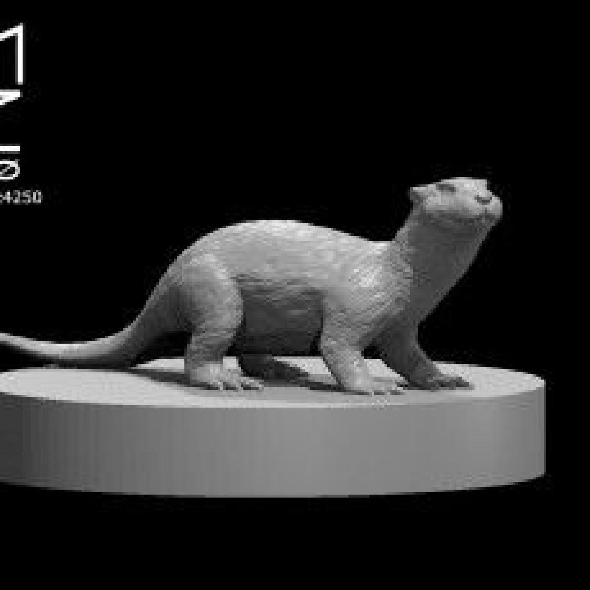 OTTER