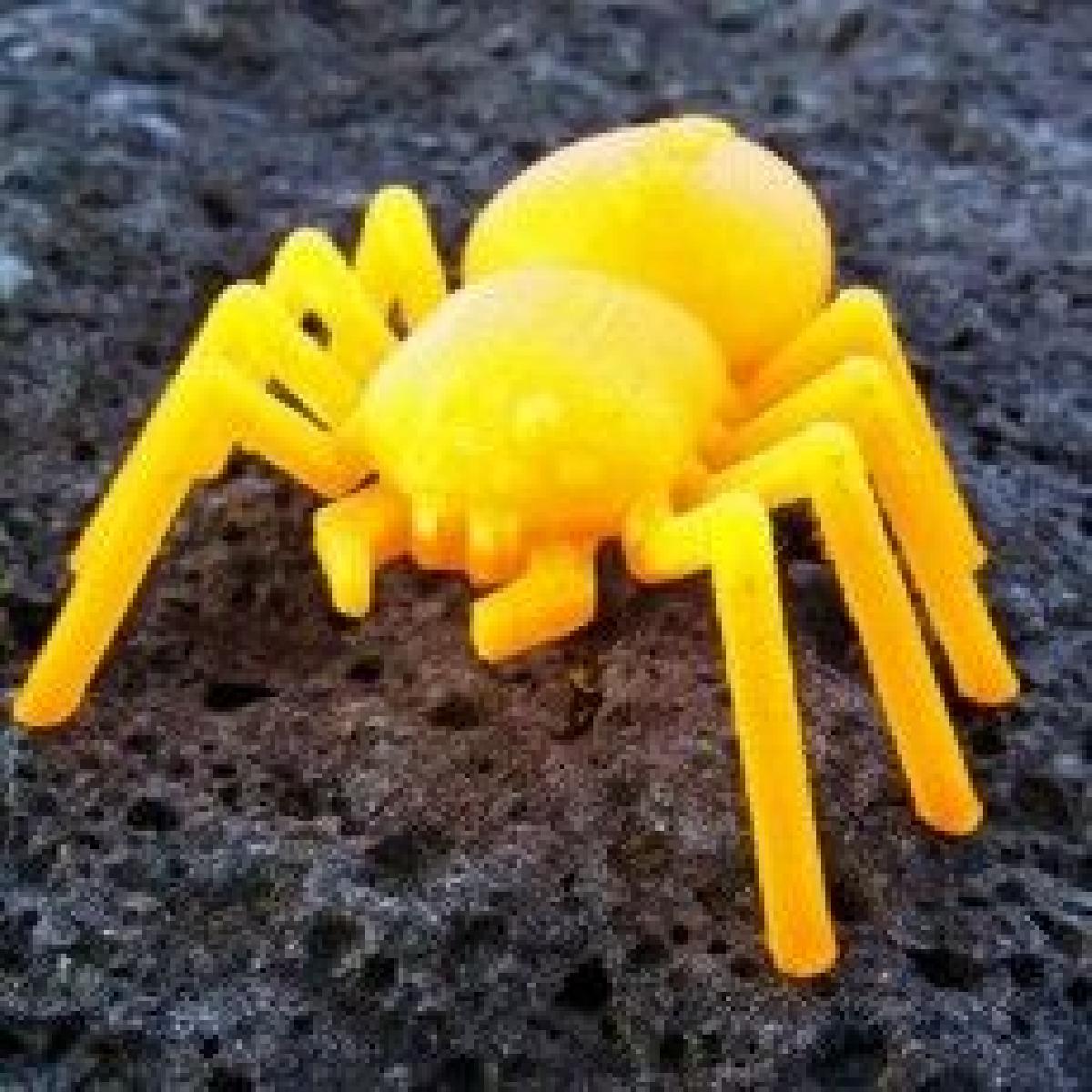 Aranha... Com 8 pernas e 8 olhos