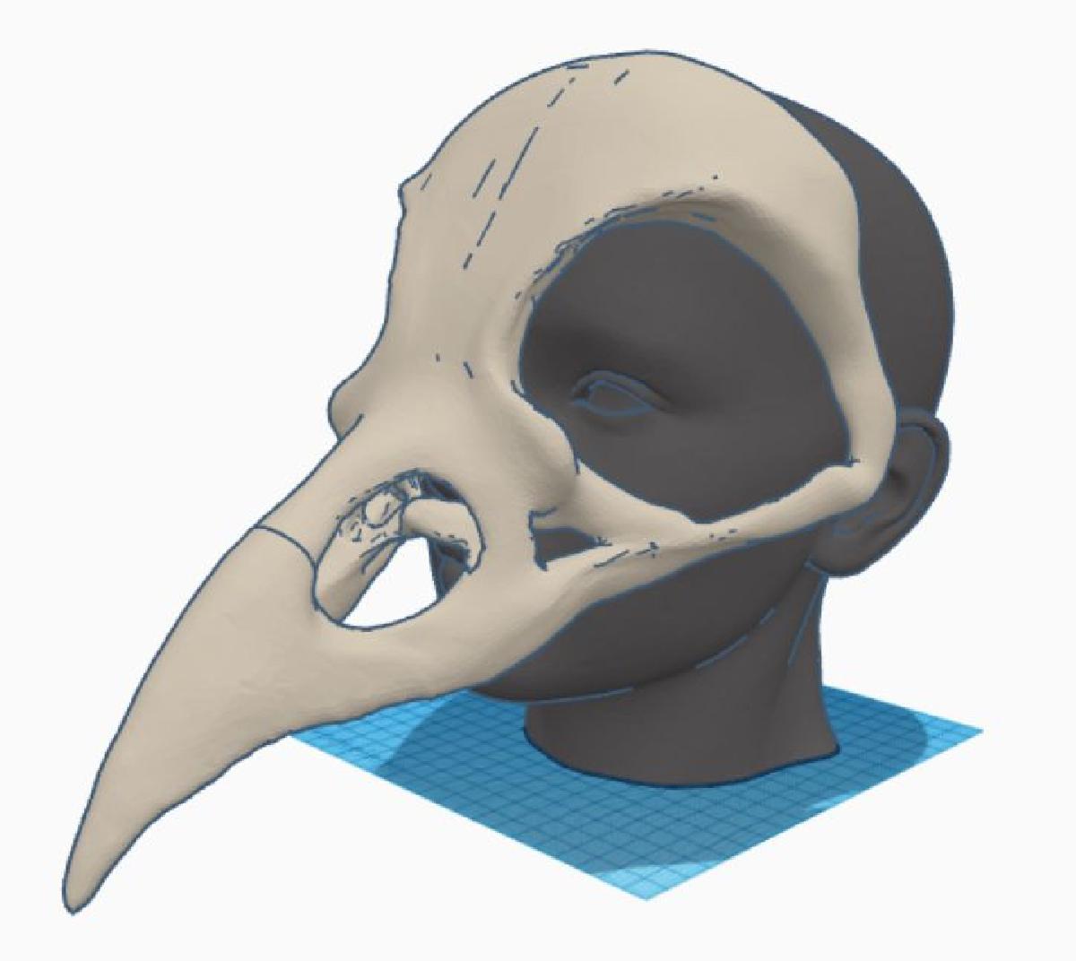 Mascara de caveira de corvo