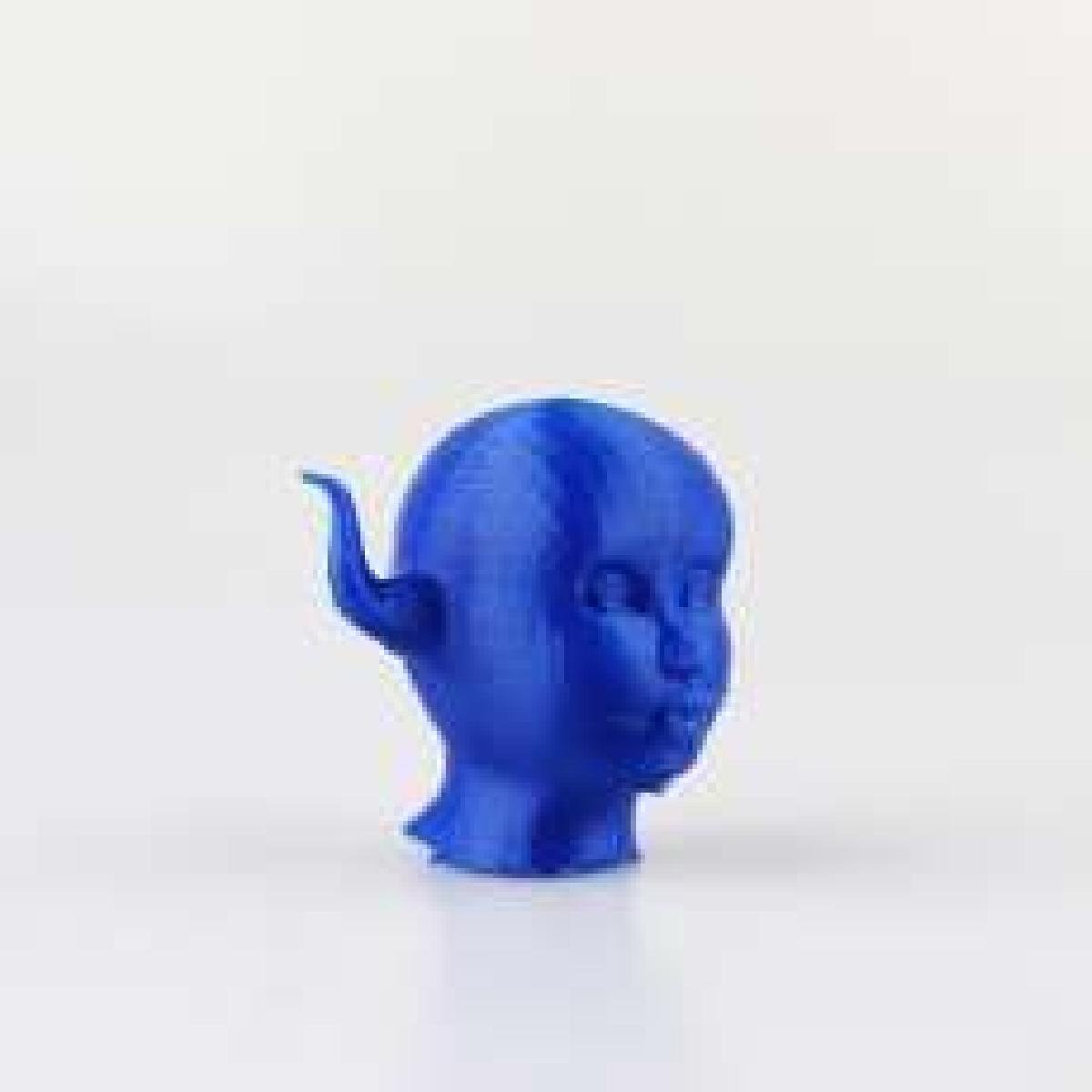 Head
