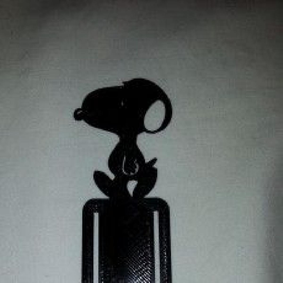 Página Snoopy Marque