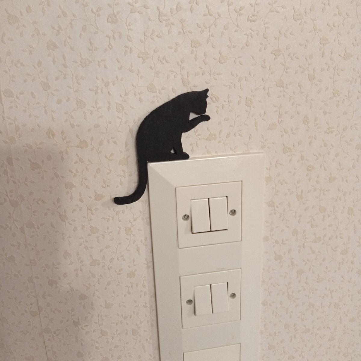 Gato em sua luz
